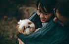 How Dogs Can Make Your Life Better